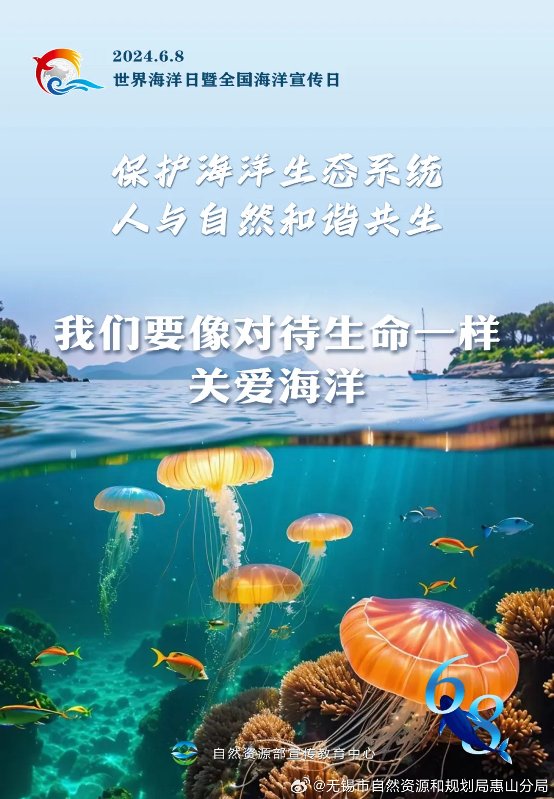 海洋生态保护，守护蓝色星球的生命之源，守护蓝色星球，海洋生态保护的紧迫性与责任担当