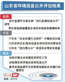 环保信息公开透明，构建绿色社会的基石，环保信息公开透明，构建绿色基石的必备条件