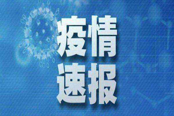 松原市最新疫情通报情况概览，最新数据与动态更新