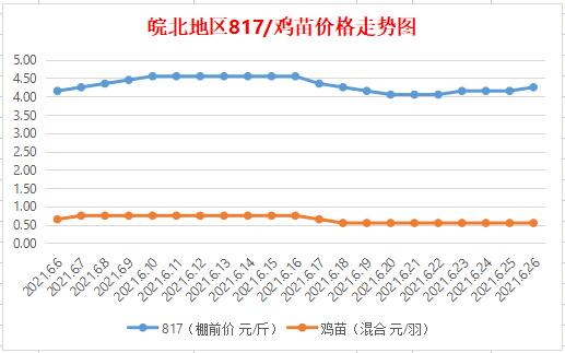 皖北麻鸡今日最新价格解析及市场分析